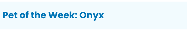 Pet of the Week: Onyx