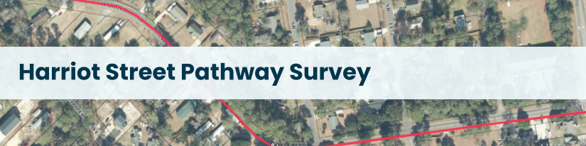 Subheading: Harriot Street Pathway Survey