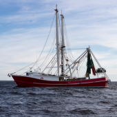 Image of a red shrimp trawler boat on the water.