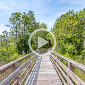 Image of a boardwalk leading into the woods. A play button signifies that a trail video will play when clicked.