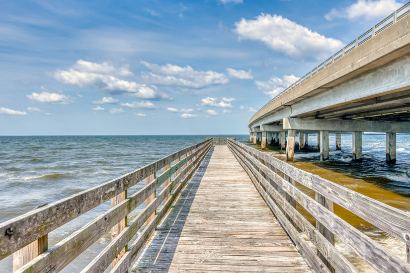 Image of the boardwalk that is connected to the Marshall & Gussie Collins trail, that can be accessed from the Sarah Owens Welcome Center in Manteo.