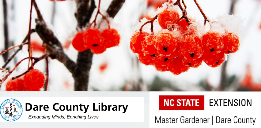 Dare County Extension Master Gardeners and Dare County Library Winter Series