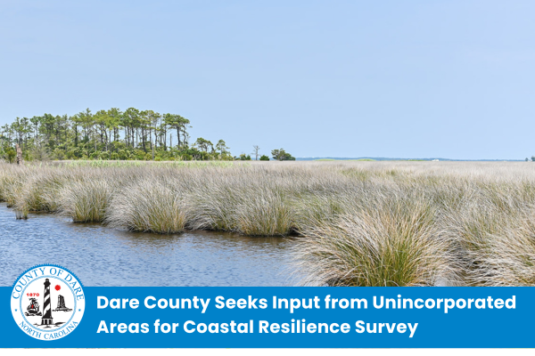 Image of a marshy creek with pine trees in the background. Heading: Dare County Seeks Input from Unincorporated Areas for Coastal Resilience Survey 