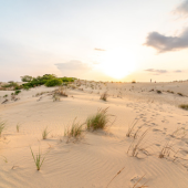 Image of Jockey's Ridge State Park
