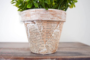 Example of a plant in a small pot decorated with book pages