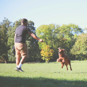 Man playing with a dog.