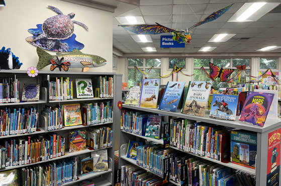 View of Kill Devil Hills Library Juvenile Nonfiction section with books displayed and dragon, fish, turtle and butterfly displays