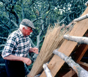 Image of a man fastening reeds to make the Elizabethan Garden's thatched gazebo roof.