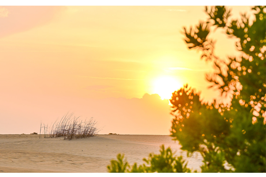 Jockey's Ridge State Park sand dunes at sunset.