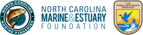 Logos of the NC Division of Marine Fisheries, NC Marine & Estuary Foundation, US Fish & Wildlife Service