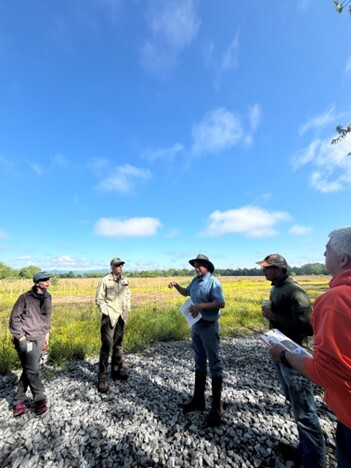 Wetland and backwater slough restoration