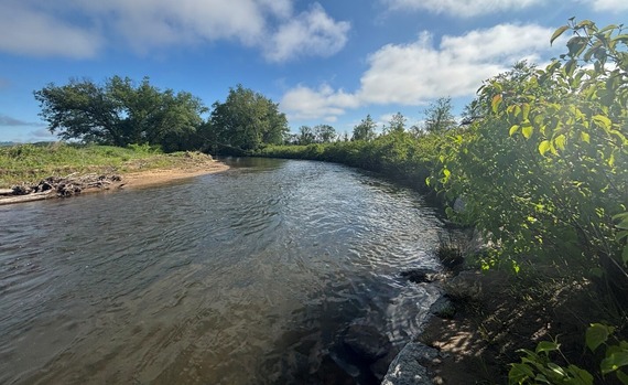 Streambank stabilization at Mills River Park