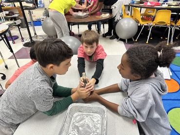 Walker's Wacky Lab - Photo 1