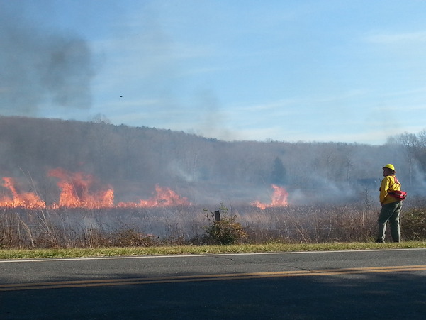 Walter Cross; Rx Burn