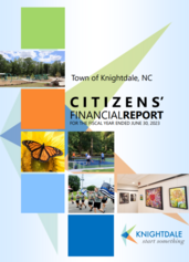 Citizens Financial Report Cover