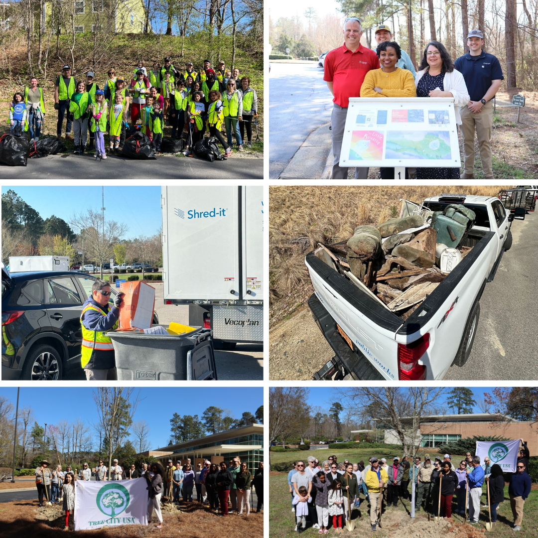 Collage of Photos from Various Creek Week Activities
