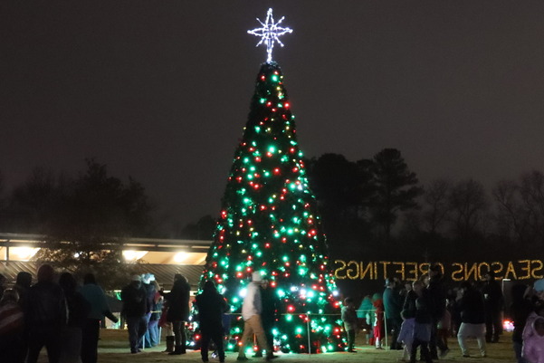 Knightdale Christmas Tree