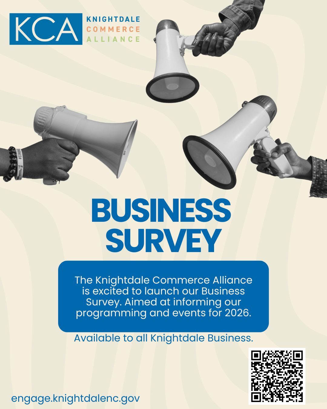 Business Survey Graphic