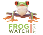 frog watch
