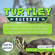 Turtley Awesome