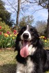 Reilly