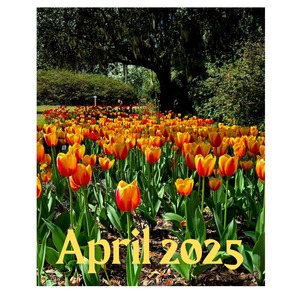 April 2025