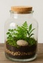 Terrarium