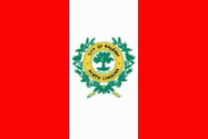 City Flag
