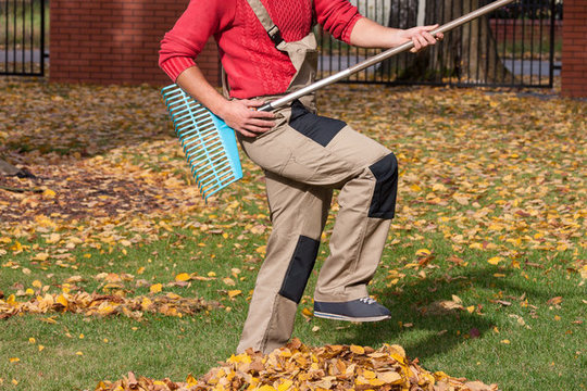 GardenerPlayingRake