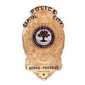 Police Badge