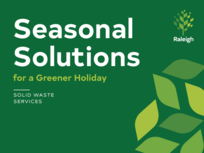 Seasonal Solutions for a Greener Holiday
