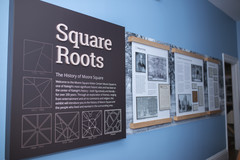 Square Roots