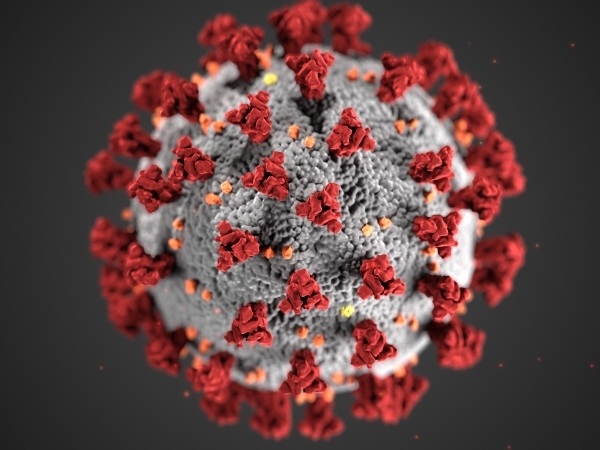 Covid-19 virus