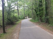 Pic of Lake Lynn Trail 