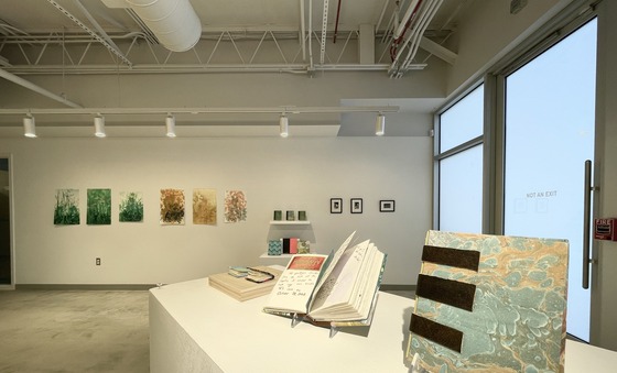 Community Book and Printmaking Exhibit at Pullen Arts Center
