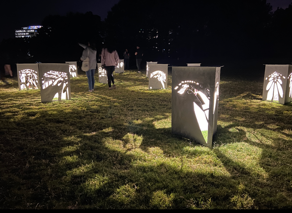 Tesselate, A new SEEK Raleigh shadow and light installation coming to Dix Park by Artist Oliver Lewis 