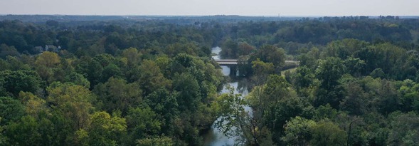 Neuse River Park drone photograph with a green tree canopy and view of river and bridge. 