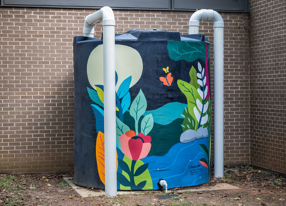 Murals at Biltmore Hills Park