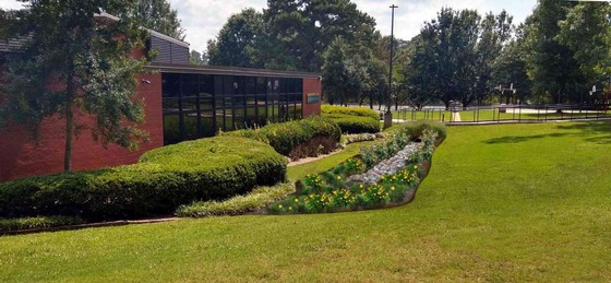 Lions Park Educational Display Artist Call Rendering