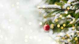 Celebrate the Holidays with Raleigh Parks