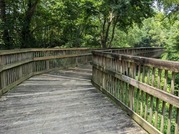 Picture of Structure 124