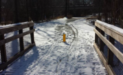 Snowy greenway trail