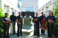 Group of musicians and their string instruments