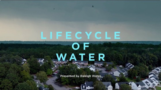 Lifecycle of Water