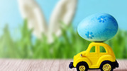 Egg-Hunts and Spring Events