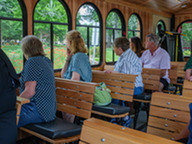 Passengers on the Historic Raleigh Trolley gaze out the windows on a tour.