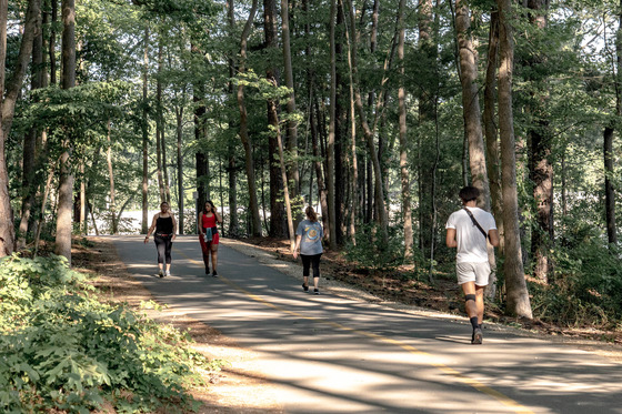 People walking on trail