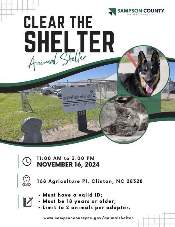 clear the shelter