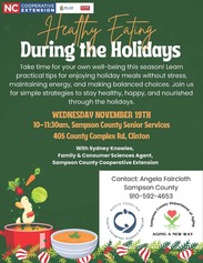 Healthy Eating During the Holidays flyer