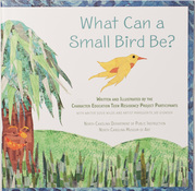 what can a small bird be book